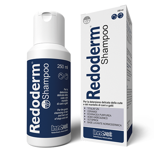 Innovet Redoderm Shampoo 250 ml