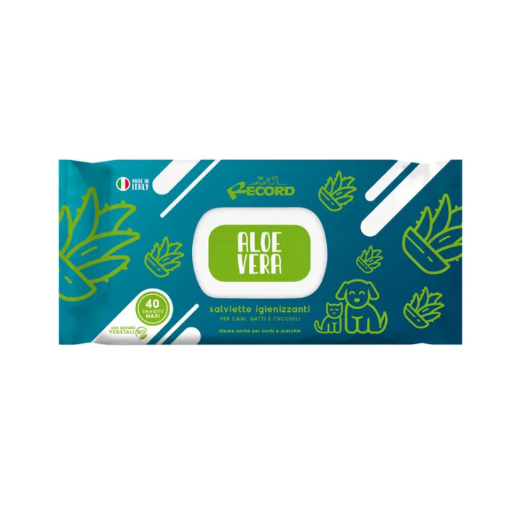 Record Salviette Igienizzanti Maxi Aloe Vera – 40 pz