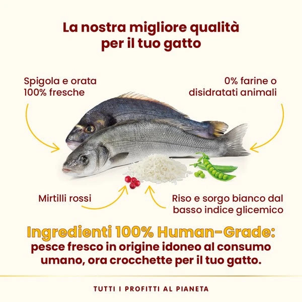 Almo Nature HFC Our Best Adult Sterilised Spigola e Orata Fresche 300g