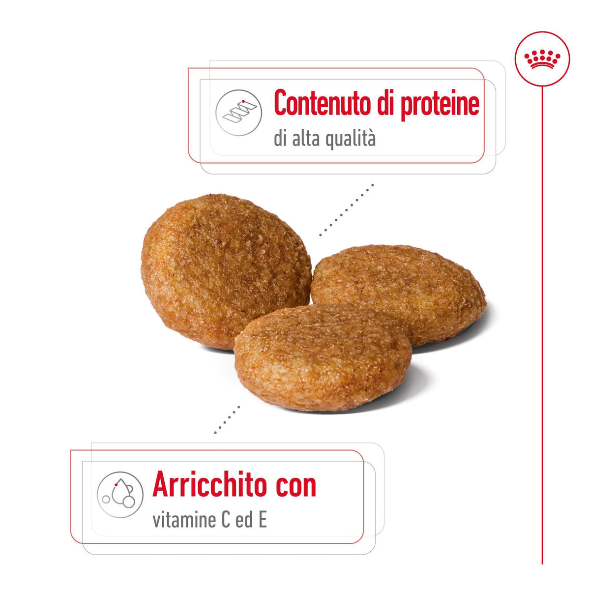Royal Canin Medium Adult 4 kg