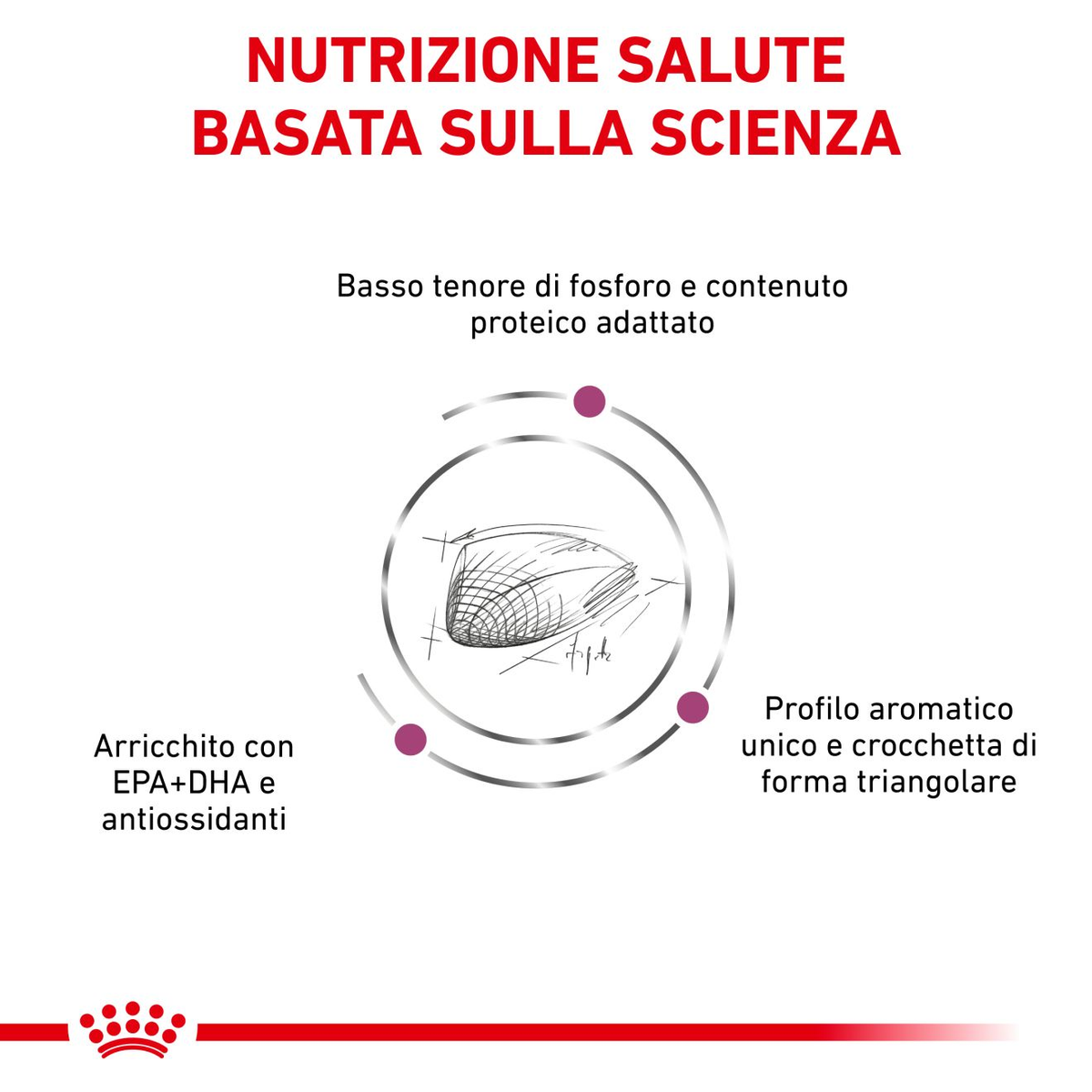 Royal Canin Veterinary Health Nutrition Renal Special Gatto 400g