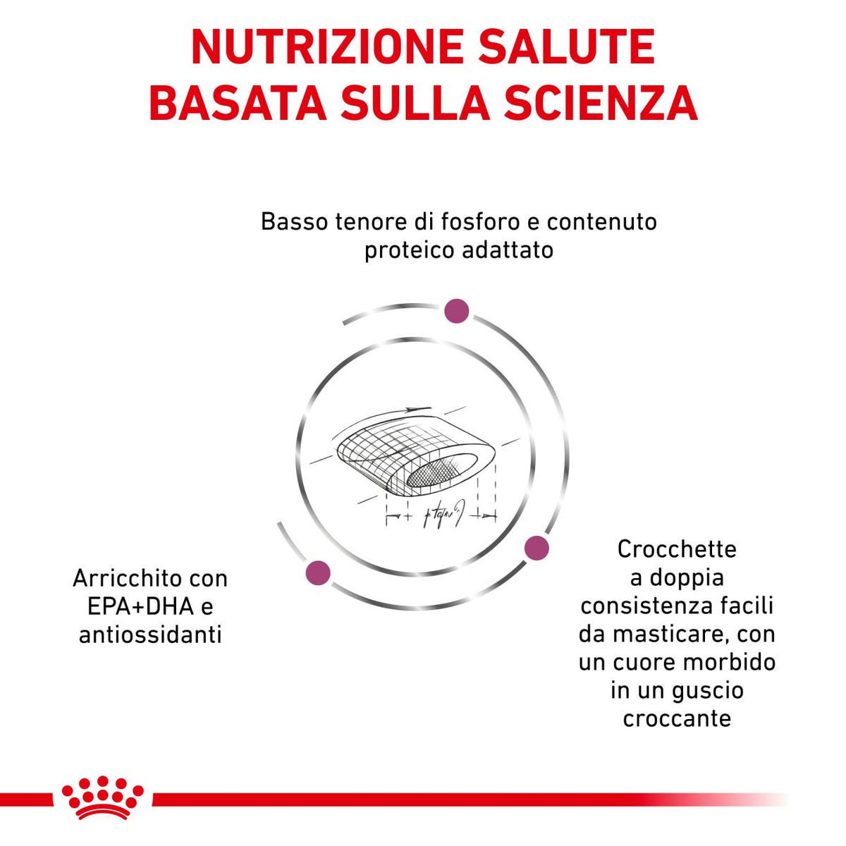 Royal Canin Renal Select Gatto 400g