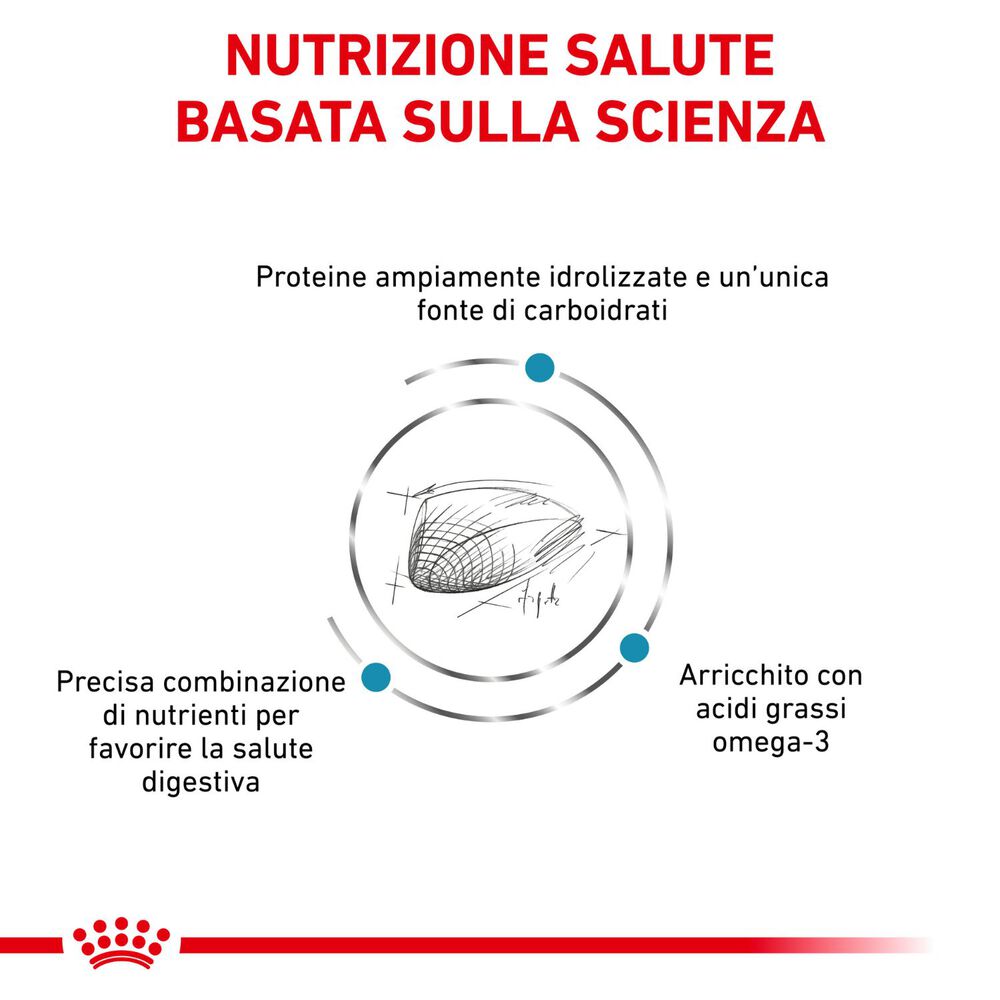 Royal Canin Veterinary Health Nutrition Hypoallergenic Gatto 2,5 kg