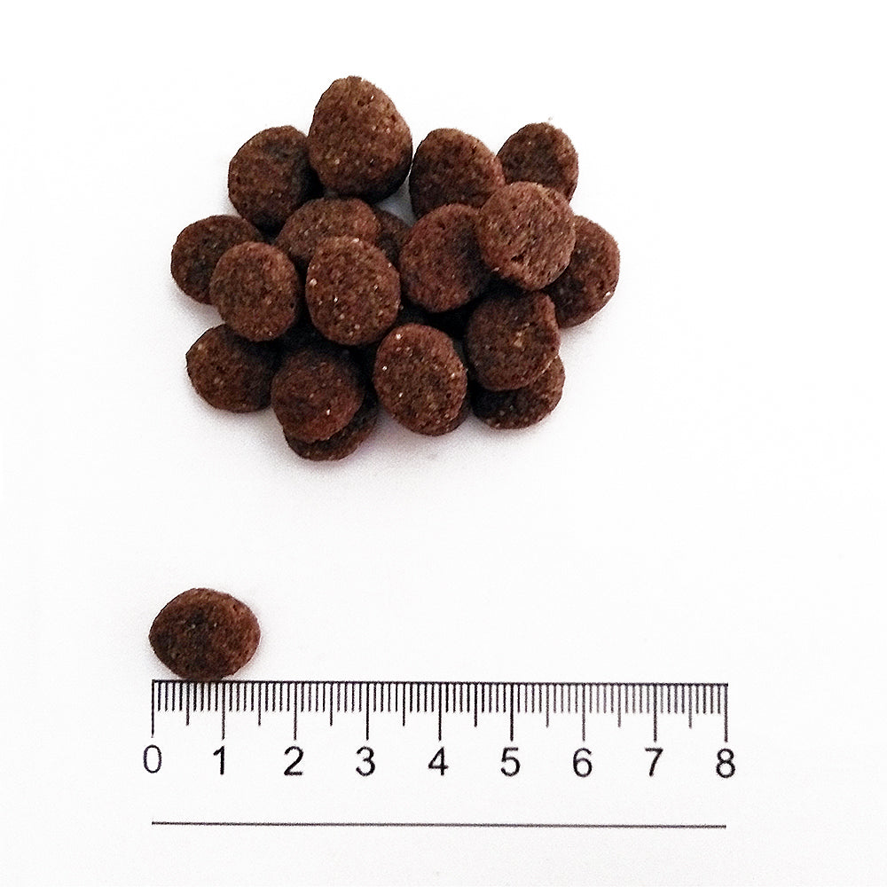 Prolife Smart Puppy Medium Pollo e Riso 10 kg