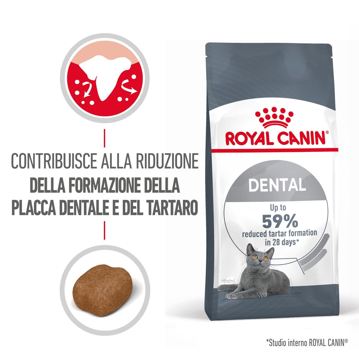 Royal Canin Dental Care Gatto 400g