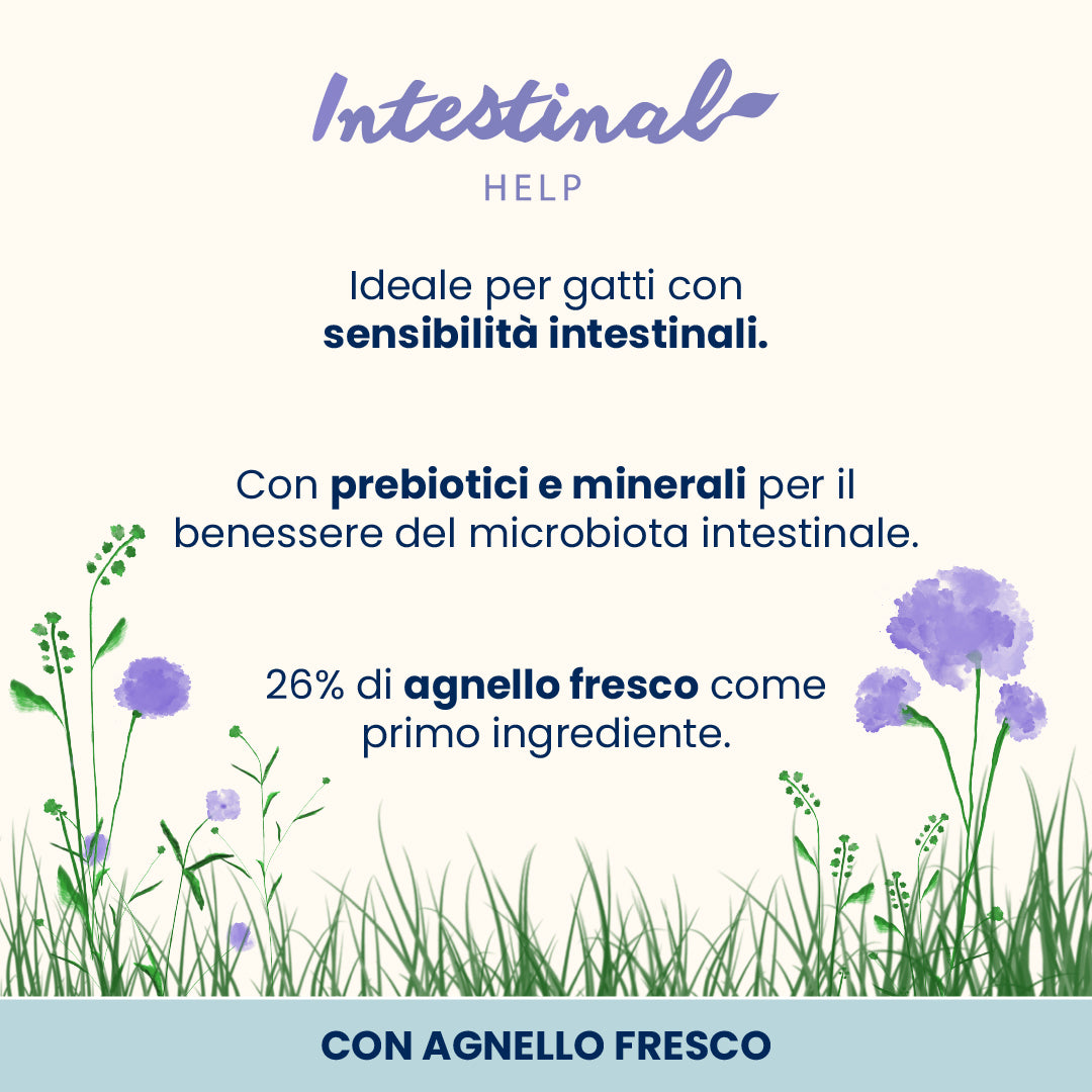 Almo Nature Functional Intestinal Help Gatto con Agnello Fresco 400g