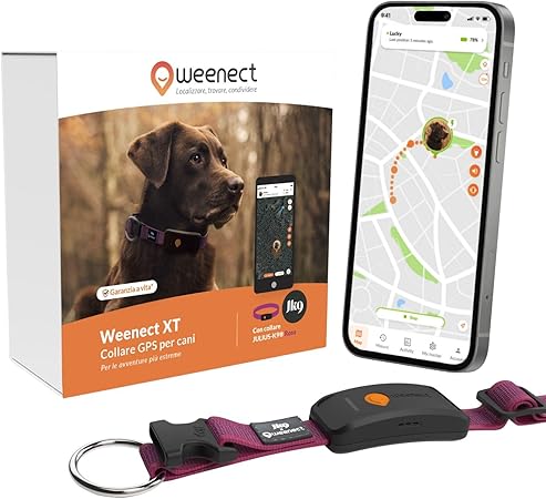 Localizzazione GPS senza limiti di distanza - Superlive e Cronologia
