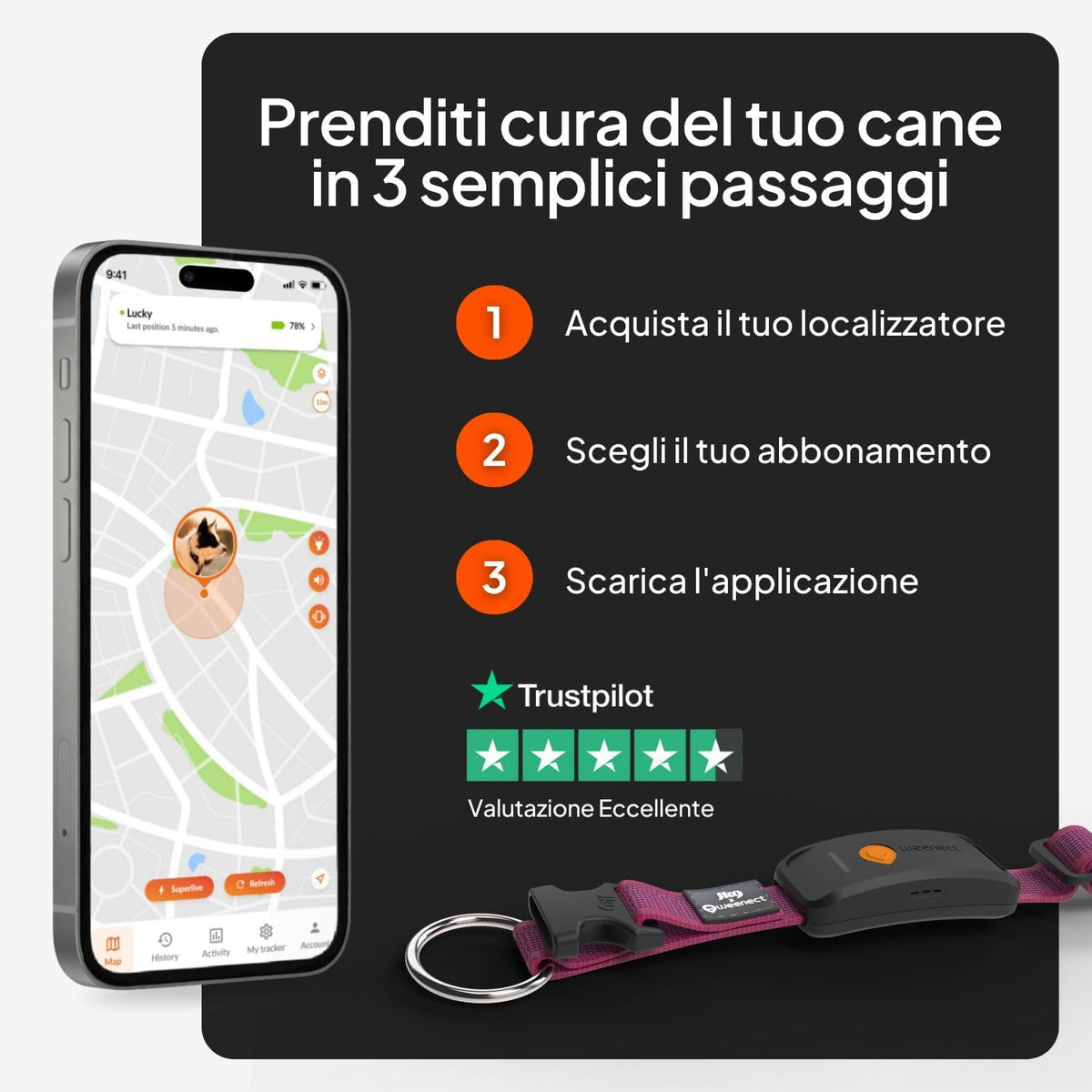 Abbonamento richiesto - piani gatto