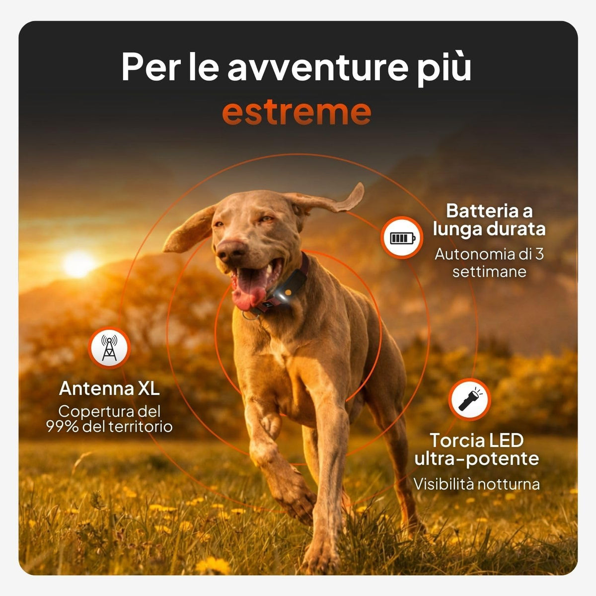 Weenect XT – immagine prodotto