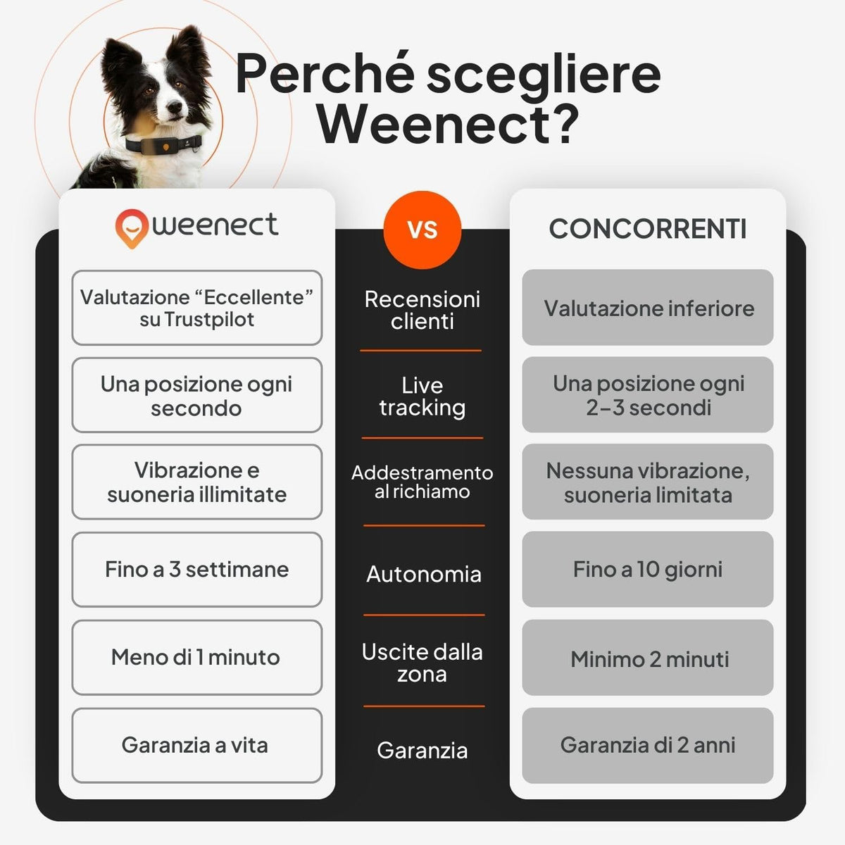 Weenect XT - Collare Julius-K9 integrato