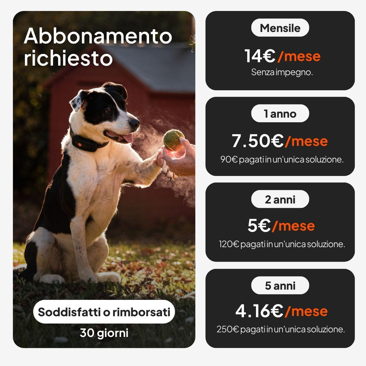 Weenect vs concorrenti - confronto